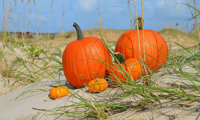 Pumpkins on the beach