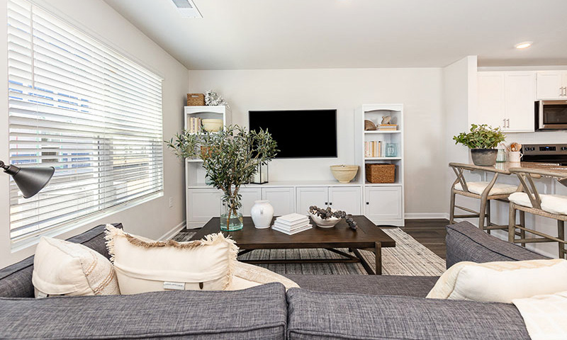 D.R. Horton - The Cove at Glenn's Bay - Living Room D.R. Horton - The Cove at Glenn's Bay - Living Room